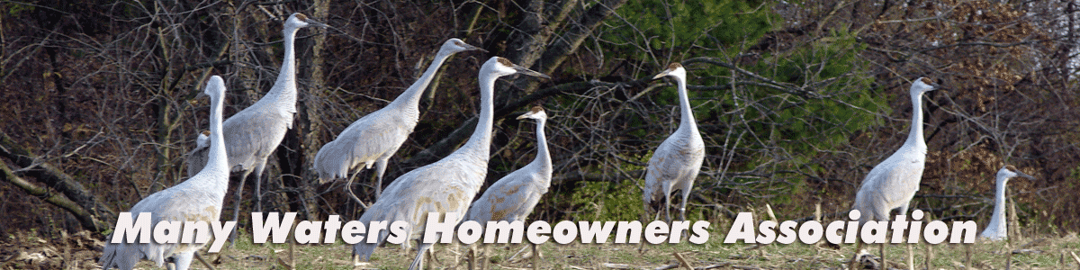 Positively Portage Banner